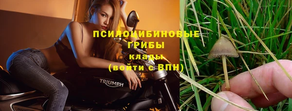 прущая мука Верея